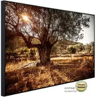 Papermoon Infrarotheizung »EcoHeat - Wald in Landschaft«, Matt-Effekt - bunt