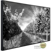 Papermoon Infrarotheizung »EcoHeat - Feld Schwarz + Weiss«, Matt-Effekt - bunt