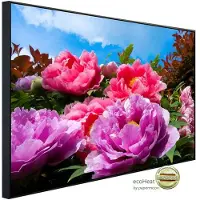 Papermoon Infrarotheizung »EcoHeat - TropicalPeonies«, Matt-Effekt - bunt