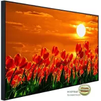 Papermoon Infrarotheizung »EcoHeat - Rote Tulpen«, Matt-Effekt - bunt