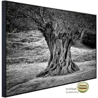 Papermoon Infrarotheizung »EcoHeat - Baum Schwarz + Weiss«, Matt-Effekt - bunt