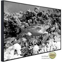 Papermoon Infrarotheizung »EcoHeat - Schildkröte Schwarz + Weiss«, Matt-Effekt - bunt