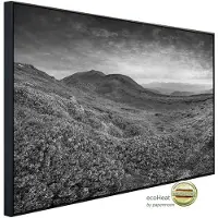 Papermoon Infrarotheizung »EcoHeat - Landschaft Schwarz + Weiss«, Matt-Effekt - bunt