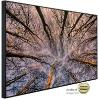 Papermoon Infrarotheizung »EcoHeat - Sonnenaufgang durch den Wald«, Matt-Effekt - bunt