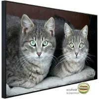 Papermoon Infrarotheizung »EcoHeat - Grüne Augen Katzen«, Matt-Effekt - bunt
