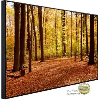 Papermoon Infrarotheizung »EcoHeat - Herbstwald«, Matt-Effekt - bunt