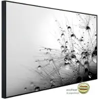 Papermoon Infrarotheizung »EcoHeat - Blumen Schwarz + Weiss«, Matt-Effekt - bunt