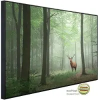 Papermoon Infrarotheizung »EcoHeat - Hirsch im Wald«, Matt-Effekt - bunt