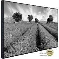 Papermoon Infrarotheizung »EcoHeat - Feld Schwarz + Weiss«, Matt-Effekt - bunt