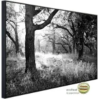 Papermoon Infrarotheizung »EcoHeat - Wald Schwarz + Weiss«, Matt-Effekt - bunt