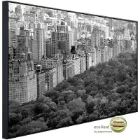 Papermoon Infrarotheizung »EcoHeat - Central Park Schwarz + Weiss«, Matt-Effekt - bunt