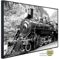 Papermoon Infrarotheizung »EcoHeat - Dampflokomotive Schwarz + Weiss«, Matt-Effekt - bunt