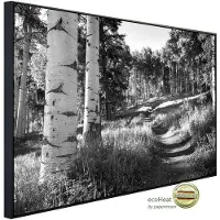 Papermoon Infrarotheizung »EcoHeat - Birkenwald Schwarz + Weiss«, Matt-Effekt - bunt