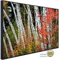 Papermoon Infrarotheizung »EcoHeat - Herbst Birkenwald«, Matt-Effekt - bunt
