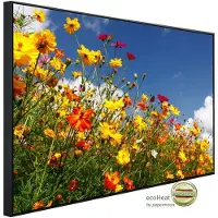 Papermoon Infrarotheizung »EcoHeat - Blumenwiese «, Matt-Effekt - bunt