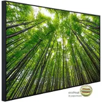 Papermoon Infrarotheizung »EcoHeat - Hohe Buchen«, Matt-Effekt - bunt