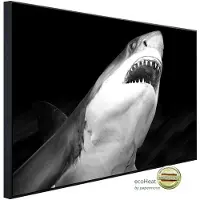 Papermoon Infrarotheizung »EcoHeat - Haifisch Schwarz + Weiss«, Matt-Effekt - bunt