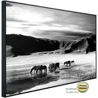 Papermoon Infrarotheizung »EcoHeat - Landschaft schwarz + weiss«, Matt-Effekt - bunt