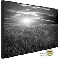 Papermoon Infrarotheizung »EcoHeat - Landschaft Schwarz + Weiss«, Matt-Effekt - bunt