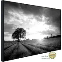 Papermoon Infrarotheizung »EcoHeat - Landschaft schwarz + weiss«, Matt-Effekt - bunt