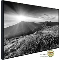 Papermoon Infrarotheizung »EcoHeat - Landschaft Schwarz + Weiss«, Matt-Effekt - bunt
