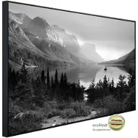Papermoon Infrarotheizung »EcoHeat - Landschaft Schwarz + Weiss«, Matt-Effekt - bunt
