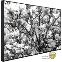 Papermoon Infrarotheizung »EcoHeat - Blumen Schwarz + Weiss«, Matt-Effekt - bunt
