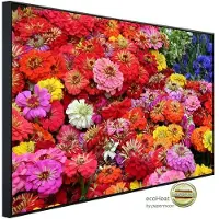 Papermoon Infrarotheizung »EcoHeat - Blumenmeer«, Matt-Effekt - bunt