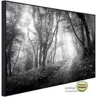 Papermoon Infrarotheizung »EcoHeat - Wald Schwarz + Weiss«, Matt-Effekt - bunt