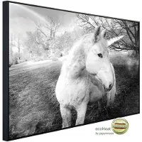 Papermoon Infrarotheizung »EcoHeat - Einhorn Schwarz + Weiss«, Matt-Effekt - bunt