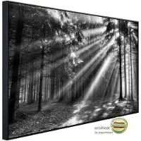 Papermoon Infrarotheizung »EcoHeat - Waldlichtung«, Matt-Effekt - bunt