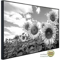 Papermoon Infrarotheizung »EcoHeat - Sonnenblumen Schwarz + Weiss«, Matt-Effekt - bunt