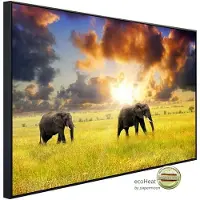 Papermoon Infrarotheizung »EcoHeat - Afrikanische Elefanten«, Matt-Effekt - bunt