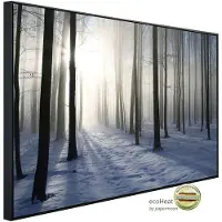 Papermoon Infrarotheizung »EcoHeat - Nebeliger Winterwald«, Matt-Effekt - bunt