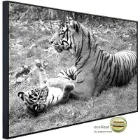 Papermoon Infrarotheizung »EcoHeat - Tiger Schwarz + Weiss«, Matt-Effekt - bunt