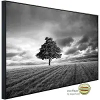 Papermoon Infrarotheizung »EcoHeat - Landschaft schwarz + weiss«, Matt-Effekt - bunt