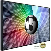 Papermoon Infrarotheizung »EcoHeat - Fussball«, Matt-Effekt - bunt