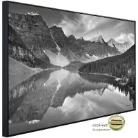 Papermoon Infrarotheizung »EcoHeat - Landschaft schwarz + weiss«, Matt-Effekt - bunt