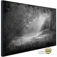 Papermoon Infrarotheizung »EcoHeat - Wald Schwarz + Weiss«, Matt-Effekt - bunt