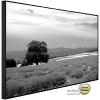Papermoon Infrarotheizung »EcoHeat - Landschaft schwarz + weiss«, Matt-Effekt - bunt