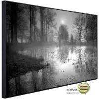 Papermoon Infrarotheizung »EcoHeat - See im Wald Schwarz + Weiss«, Matt-Effekt - bunt
