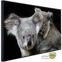 Papermoon Infrarotheizung »EcoHeat - Koala Mutter und Joey«, Matt-Effekt - bunt