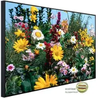 Papermoon Infrarotheizung »EcoHeat - Blumenwiese «, Matt-Effekt - bunt