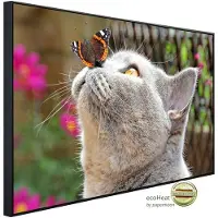 Papermoon Infrarotheizung »EcoHeat - Schmetterling und Katze«, Matt-Effekt - bunt