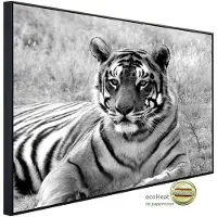 Papermoon Infrarotheizung »EcoHeat - Tiger Portrait Schwarz + Weiss«, Matt-Effekt - bunt