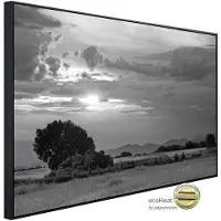 Papermoon Infrarotheizung »EcoHeat - Landschaft Schwarz + Weiss«, Matt-Effekt - bunt