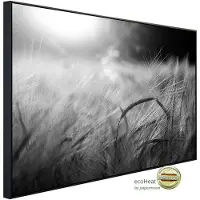 Papermoon Infrarotheizung »EcoHeat - Feld Schwarz + Weiss«, Matt-Effekt - bunt