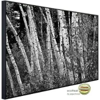 Papermoon Infrarotheizung »EcoHeat - Birkenwald Schwarz + Weiss«, Matt-Effekt - bunt