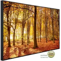 Papermoon Infrarotheizung »EcoHeat - Herbstwald«, Matt-Effekt - bunt