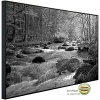 Papermoon Infrarotheizung »EcoHeat - Fluss im Wald Schwarz + Weiss«, Matt-Effekt - bunt